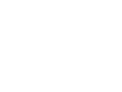Akihi client logo brand identity